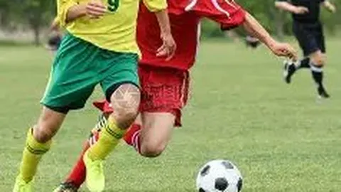 星空娱乐 产品 230247 pzy