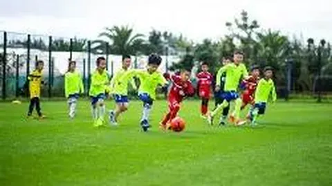 村落手绘焕新颜，番茄助力脱贫路，古村变身盈利翻倍记——探访乡村振兴秘诀